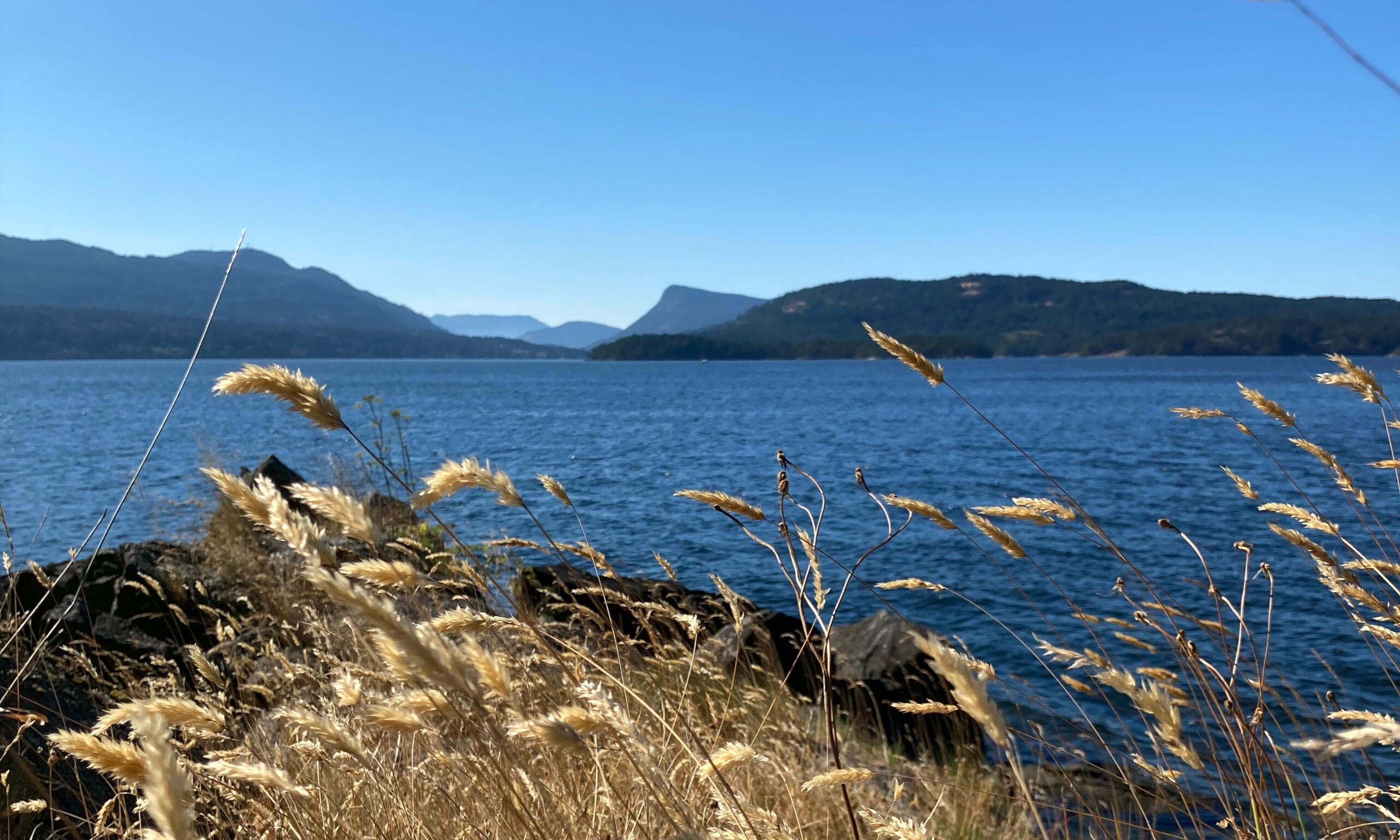 Salish Sea A landscape photo taken from Portland Island looking out toward Salt Spring Island on a clear summer day.